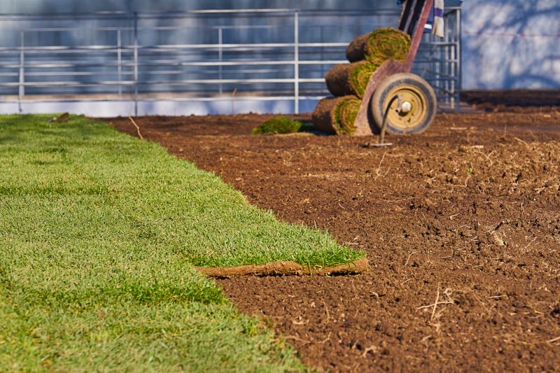 Local Sod Delivery pros at work