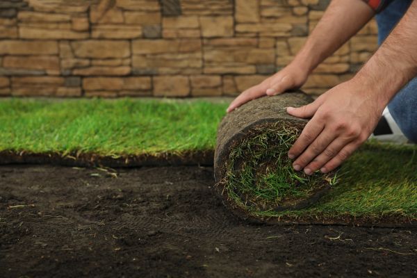 Sod Grass Installation