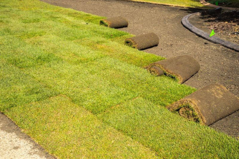 Sod Delivery and Installation