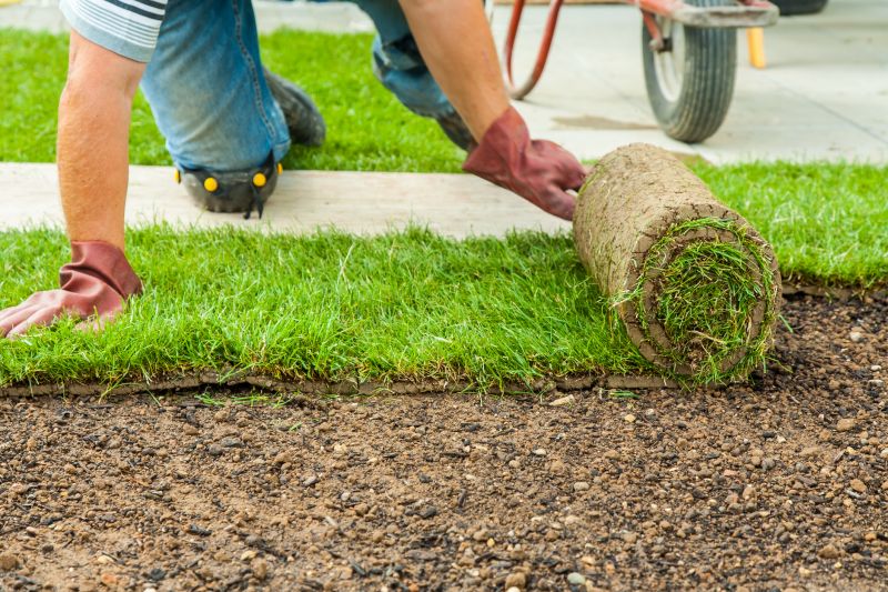 Sod Delivery and Installation