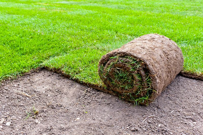 Bentgrass Sod Installation in Aiken, SC