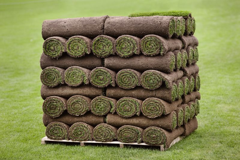 Commercial Sod Installation in Aiken, SC
