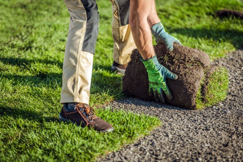 Sod Delivery And Installation