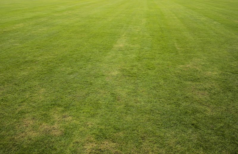 Lawn Installation in Ventura County, CA