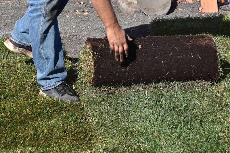 Lawn Replacement in Ventura County, CA