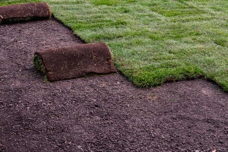 Sod Delivery And Installation