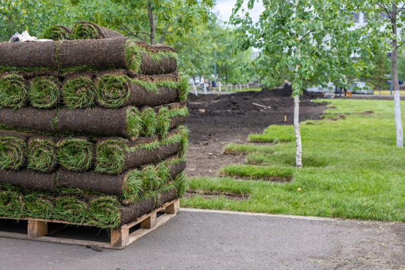 Sod Delivery And Installation
