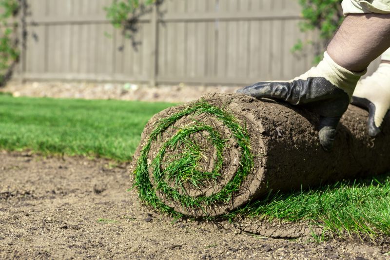 Sod Delivery And Installation