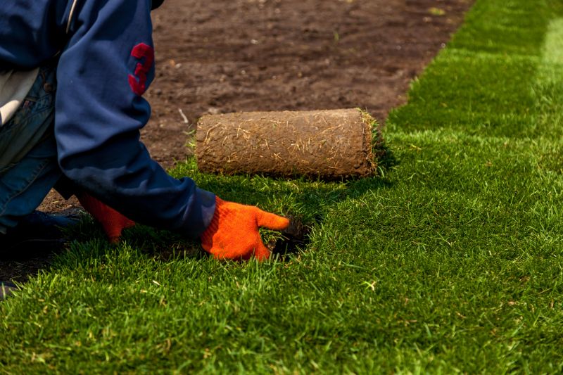 Sod Installation Team at Work