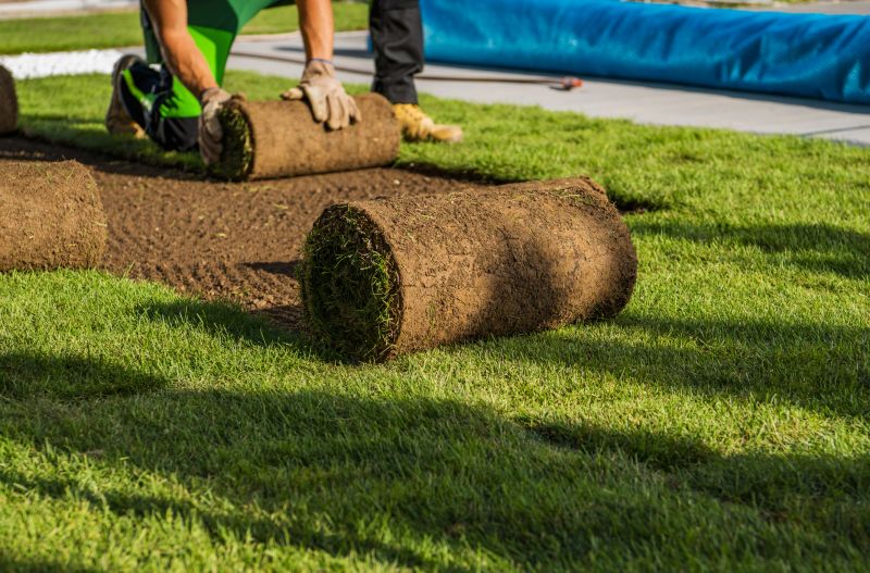 Rolling to Secure Sod