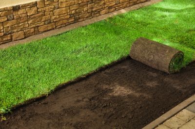 Sod Installation in Ventura County, CA