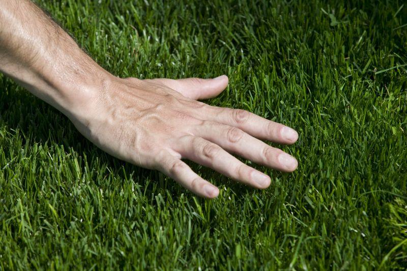 Turfing Service in Honolulu, HI