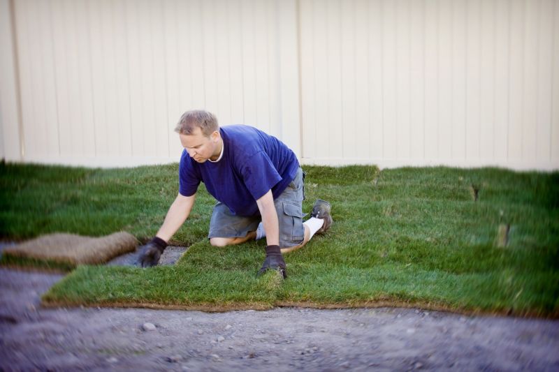 Professional Sod Installation
