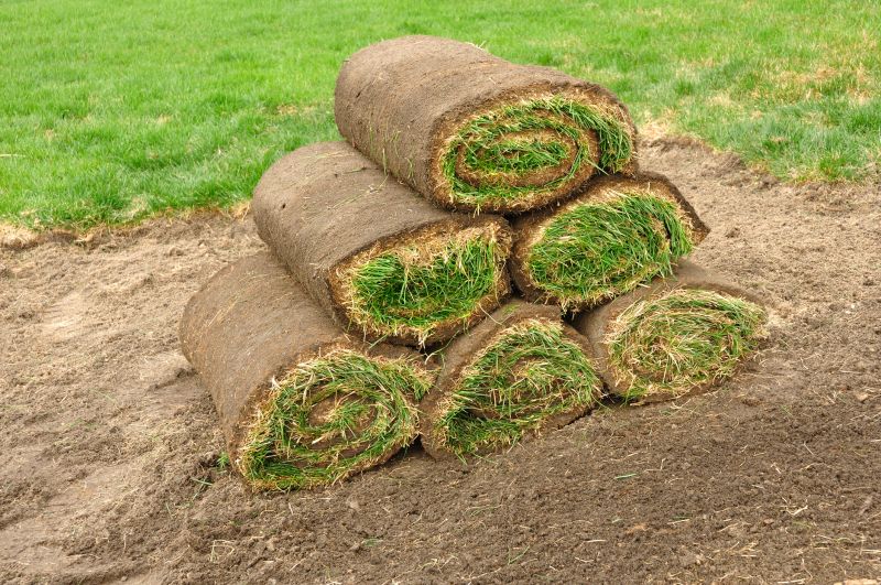 Why Sod Installation Is The Fastest Way To A Green Lawn